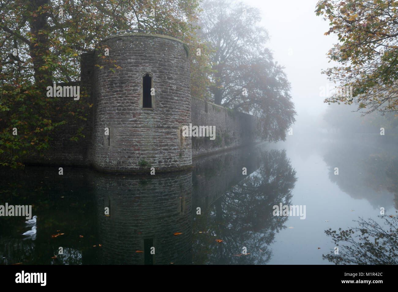 Ein Turm bildet die Stadtmauern des mittelalterlichen Bischof und Graben im dichten Nebel auf einem November Morgen, Wells, Somerset, England. Stockfoto