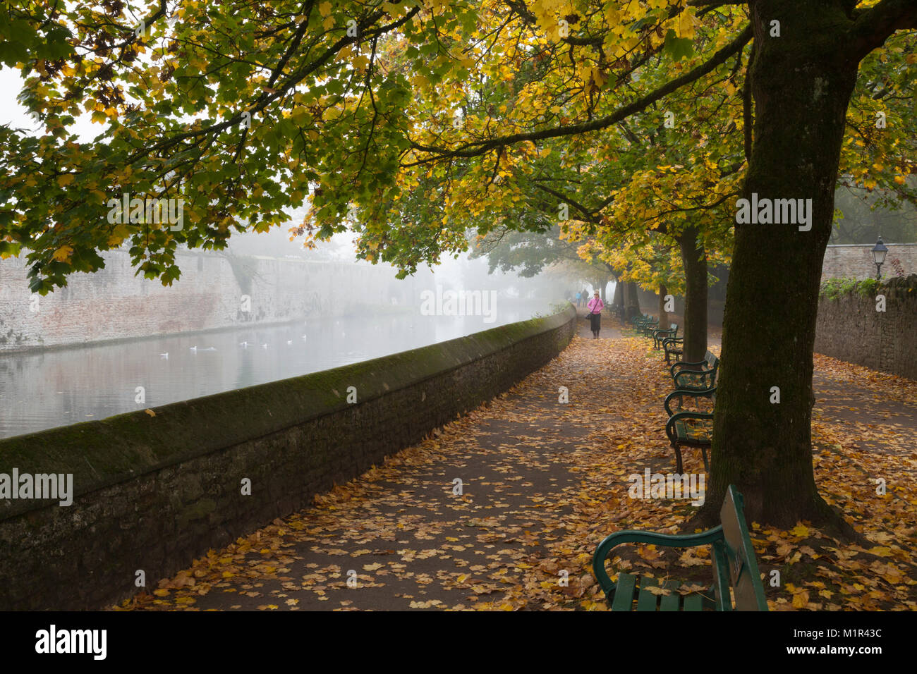 Weiblich gekleidet in Rosa zu Fuß neben der von Bäumen gesäumten Graben und Bishop's Palace an einem nebligen herbstlichen November Morgen, Wells, Somerset. Stockfoto