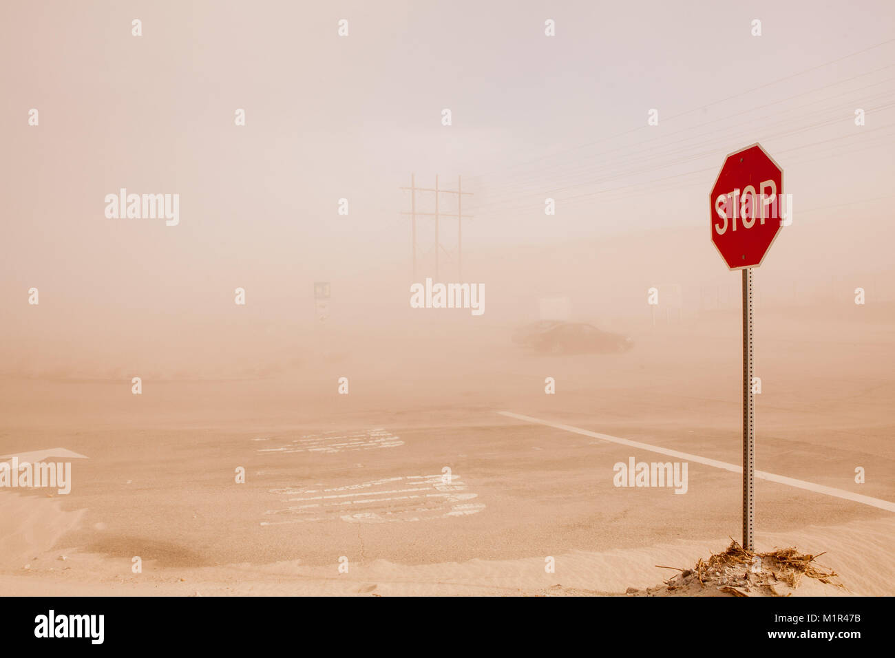 Stop-Schild in Sand Storm auf USA Straße, Autos im Hintergrund fast inviible aufgrund von Staub Stockfoto