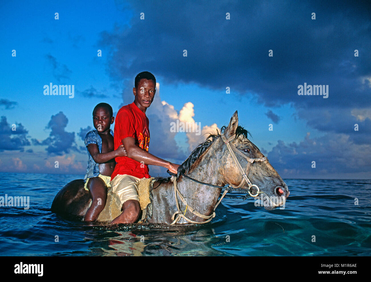 Costa Rica. Puerto Limon. Lokalen jungen Kühlung ihr Pferd im Meer nach dem  Laufen am Strand Stockfotografie - Alamy