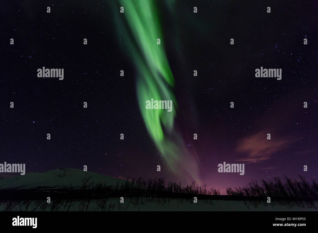 Tromsø, Norwegen. Northern Lights anzeigen. Stockfoto