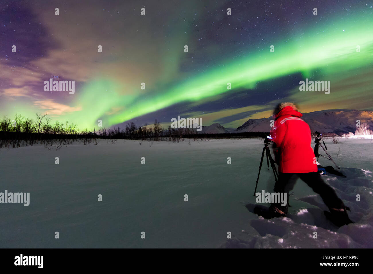 Tromsø, Norwegen. Alister Chapman Dreharbeiten northern lights anzeigen. Stockfoto