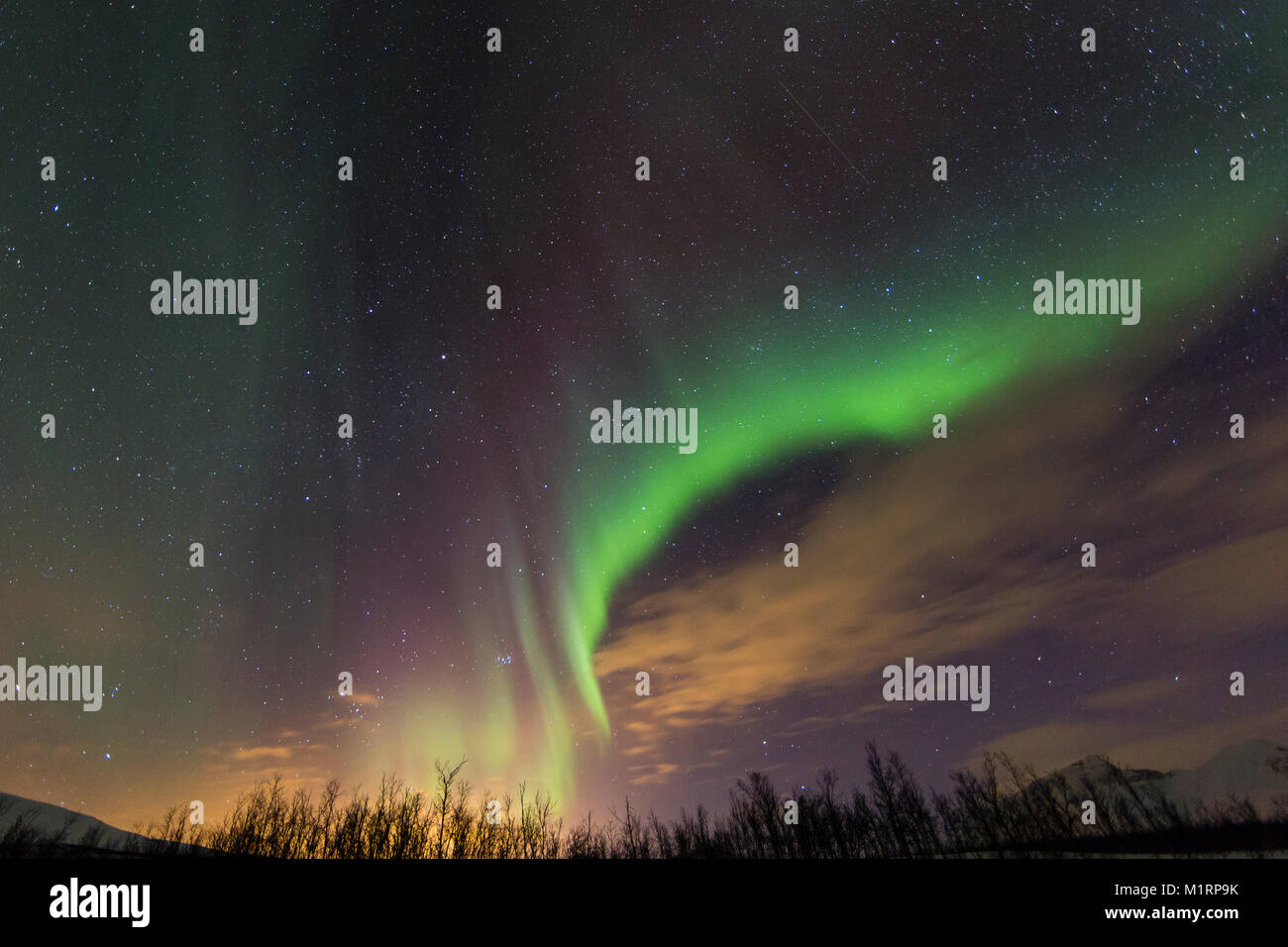Tromsø, Norwegen. Northern Lights anzeigen. Stockfoto
