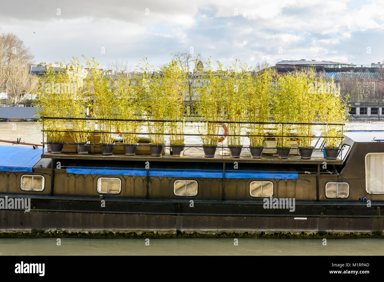 Ein Hausboot angedockt an einem Fluss, im städtischen Umfeld, mit einer Holzterrasse auf dem oberen Deck, auf dem eine Hecke von Topfpflanzen als privac verwendet wird Stockfoto