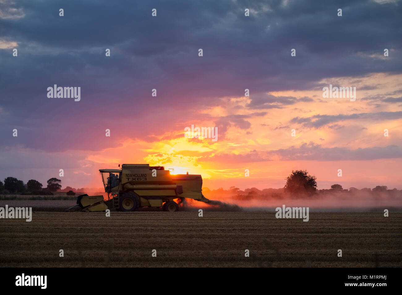 Mähdrescher im Feld bei Sonnenuntergang arbeiten Stockfoto