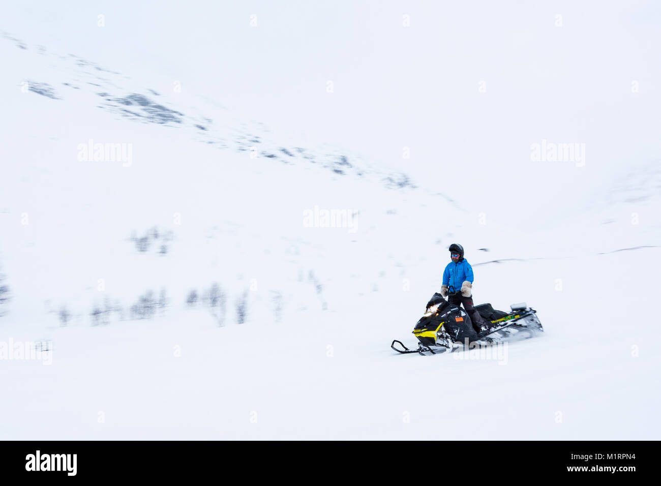 Skibotn, Norwegen. Guide Thomas fahren mit dem Schneemobil. Stockfoto