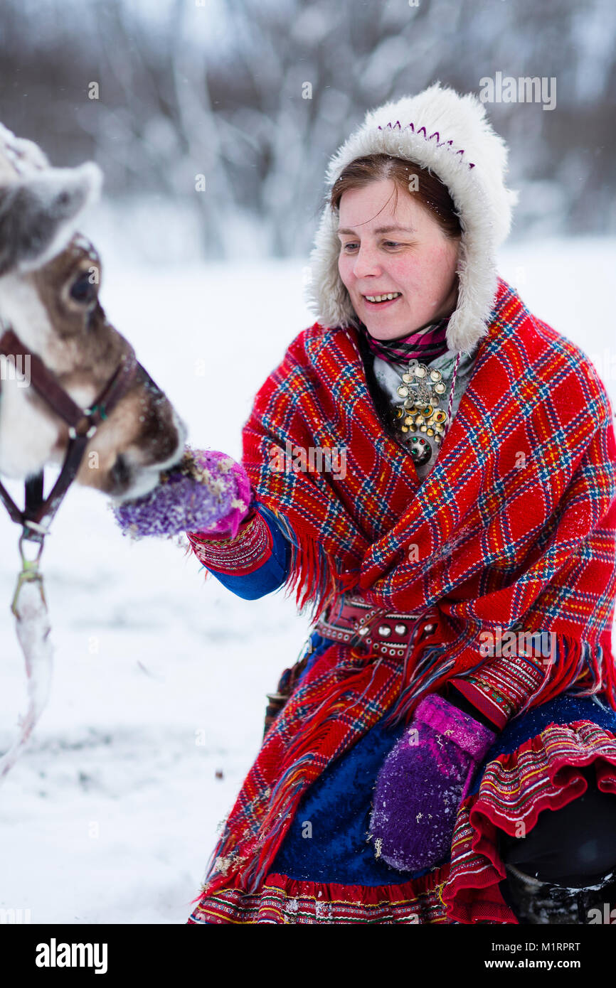 Skibotn, Norwegen. Sami Frau Fütterung ein Rentier. Stockfoto