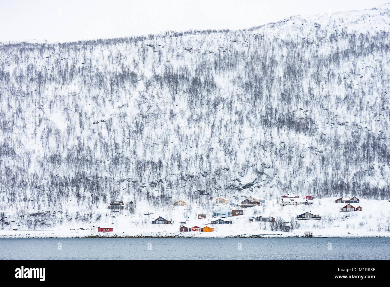 Norwegen. Bunte norwegische Häuser am Ufer. Stockfoto