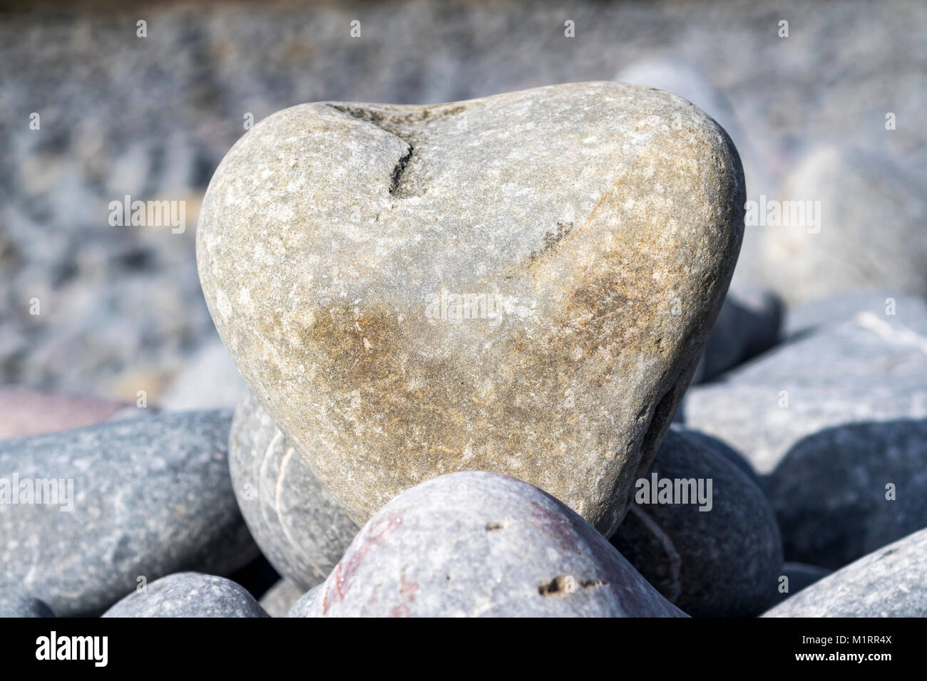 "Love Rocks"-farbigen, strukturierten, Herzförmige Kiesel in Situ. Auf einer North Devon Strand, Greencliff, Devon, England gefunden. Stockfoto