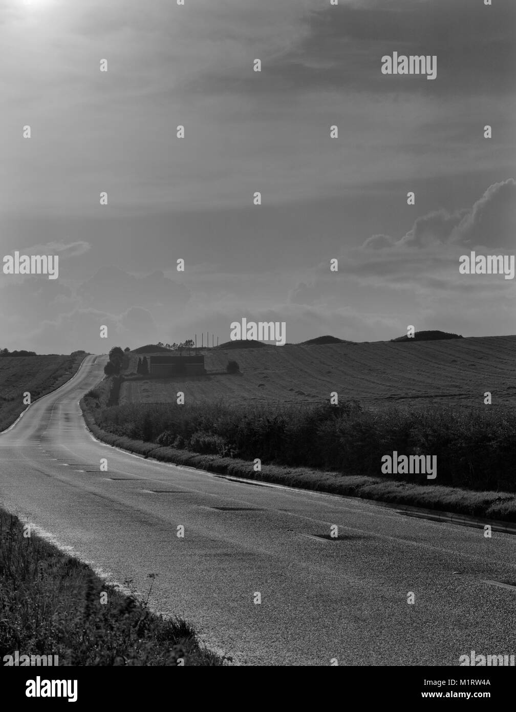 Overton Hill runde Schubkarren, Wiltshire, UK. Ansicht W von vier Frühe Bronzezeit Karren entlang E Seite des Ridgeway alten Track SE von Avebury gelegt. Stockfoto