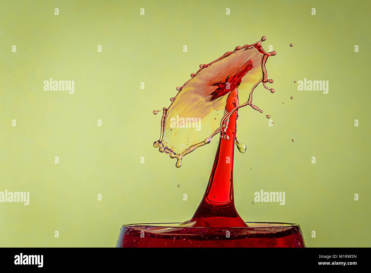 Schließen Sie herauf Bild von einen Wassertropfen von einer roten Flüssigkeit Kollision bilden eine Spritzwasser Kunst gegen einen Baum Hintergrund Stockfoto