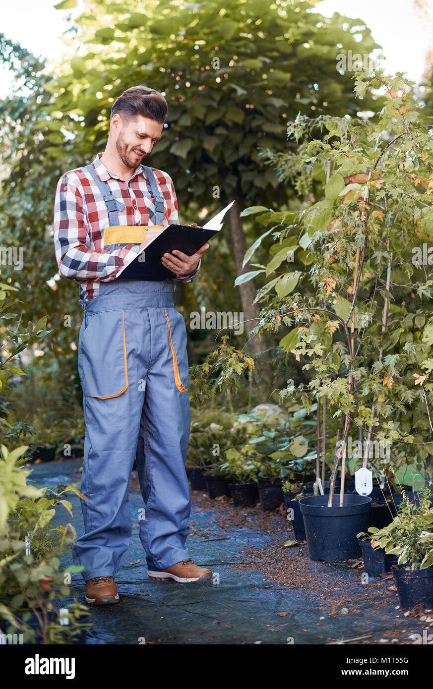 Man controlling Wachstum des Keimlings Stockfoto