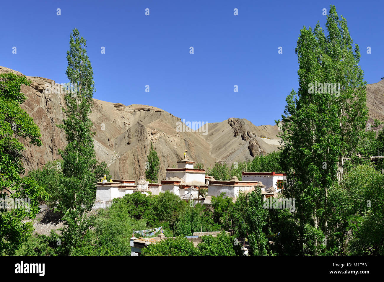 Blick auf den wunderschön Buddhistischen Choskhor Kloster Alchi Dorf im Ladakh. Diese Region ist ein Zweck der Motorrad Expeditionen organisiert b Stockfoto