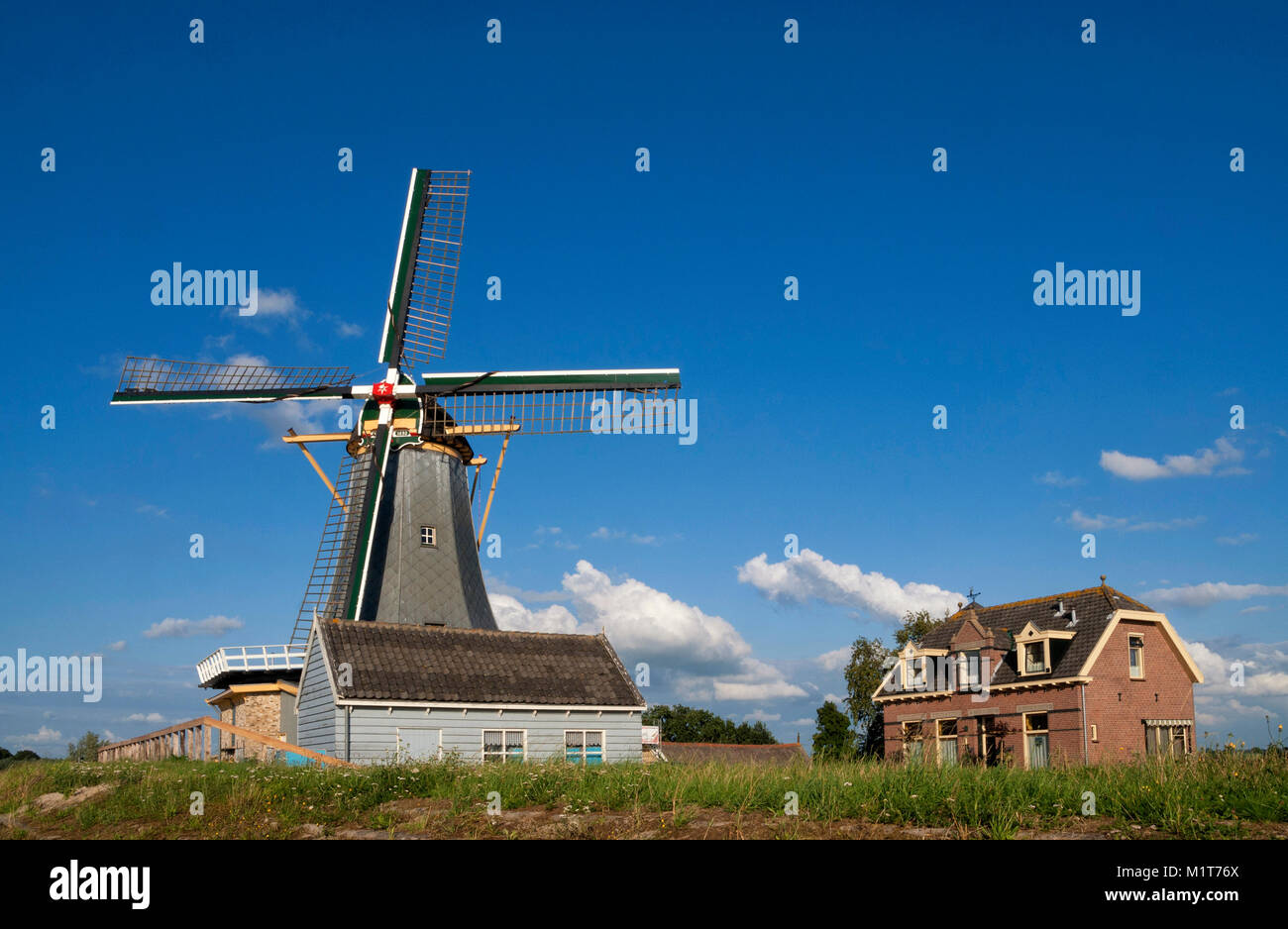 Mühle de Liefde in der niederländischen Region Alblasserwaard Stockfoto