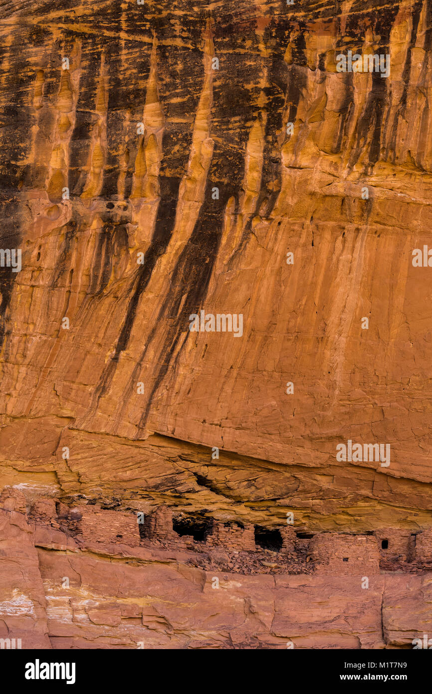 Wüste Lack nach unten läuft der Klippe über große Ruine, einen uralten Pueblo Dorf Website innerhalb von Salt Creek Canyon im Needles District des Canyonlands Na Stockfoto