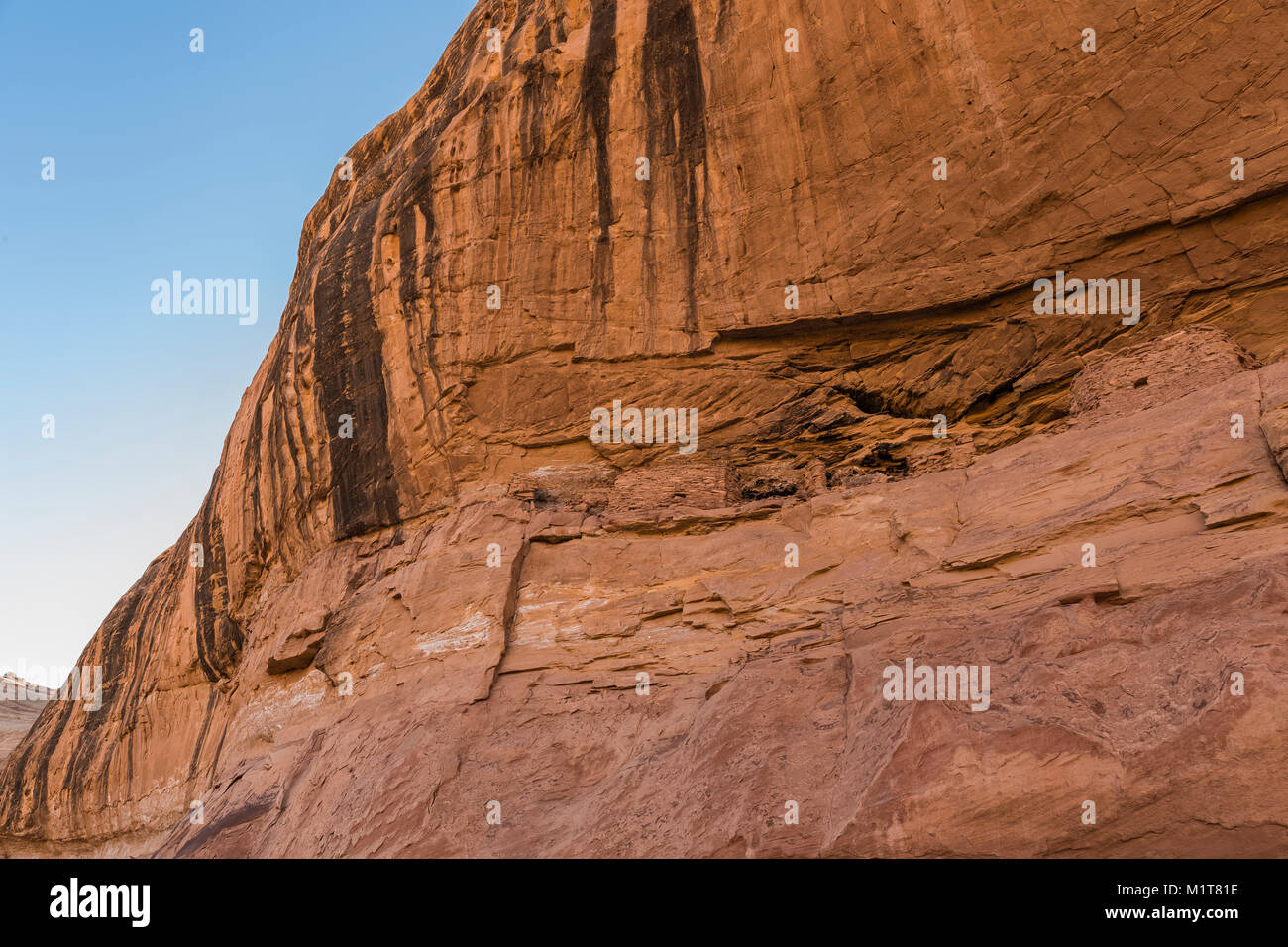 Detail von Gebäuden am grossen Ruine, einen uralten Pueblo Dorf Website innerhalb von Salt Creek Canyon im Needles District des Canyonlands National Park, Utah, Stockfoto