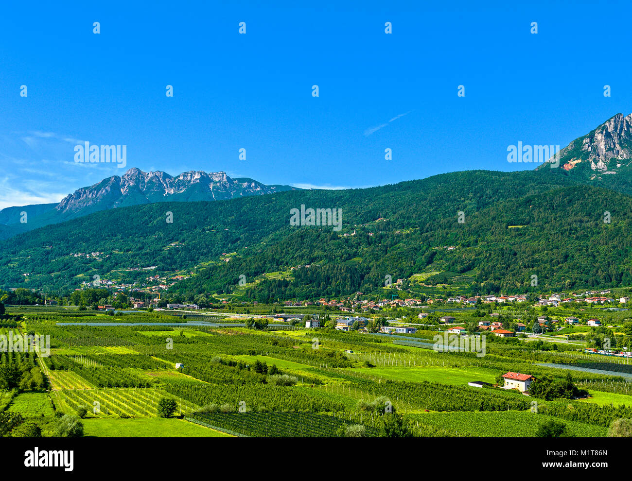 Italien Trentino Pergine Valsugana Landschaft, Landwirtschaft und Landschaft Stockfoto