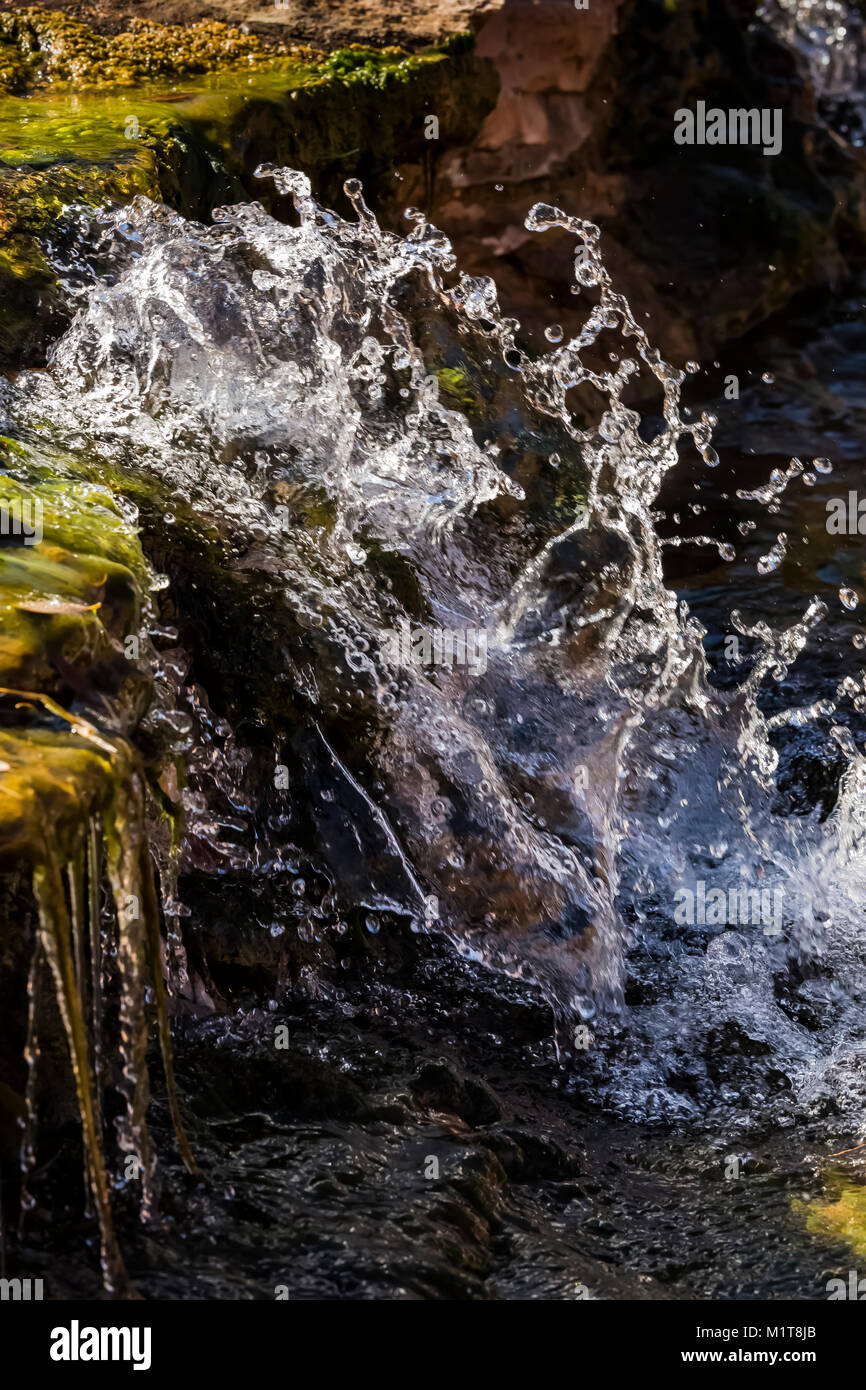 Salt Creek, ein beständiger Strom, beladen mit feinen Sediment ist und mit Algen begrenzt, aber trinkbar ist, innerhalb der oberen Salt Creek Canyon in der Needl Stockfoto