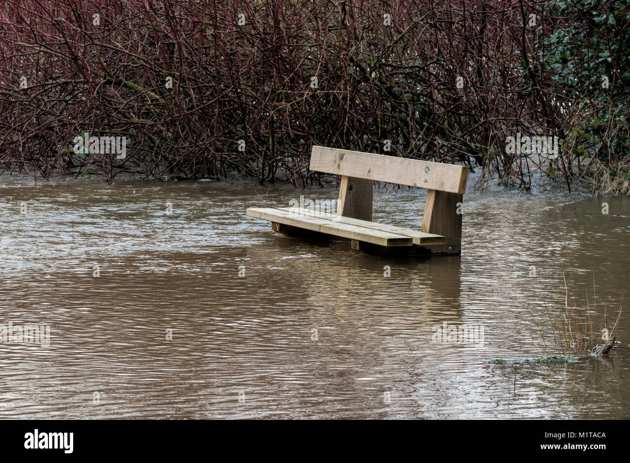 Unter Wasser Parkbank am Rande des Flusses Suir nach einige schwere Regenfälle verursachten Überschwemmungen. Cahir, Tipperary, Irland. Stockfoto