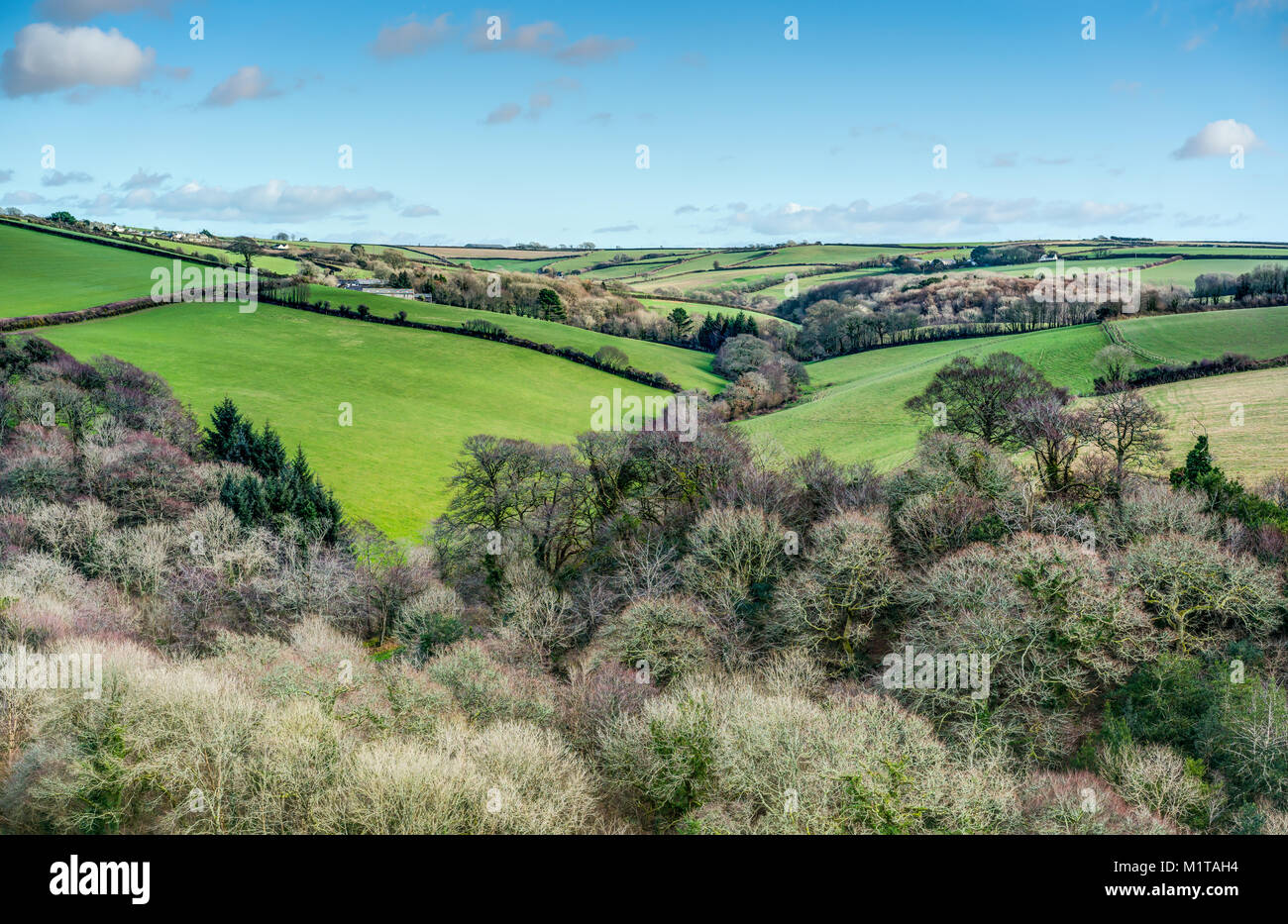 Einen warmen, sonnigen Wintertag hoch auf einem Hügel mit Vögel Auge Ansicht unten im Tal über Wald und grünen Farmland von Fowey, Cornwall. Stockfoto