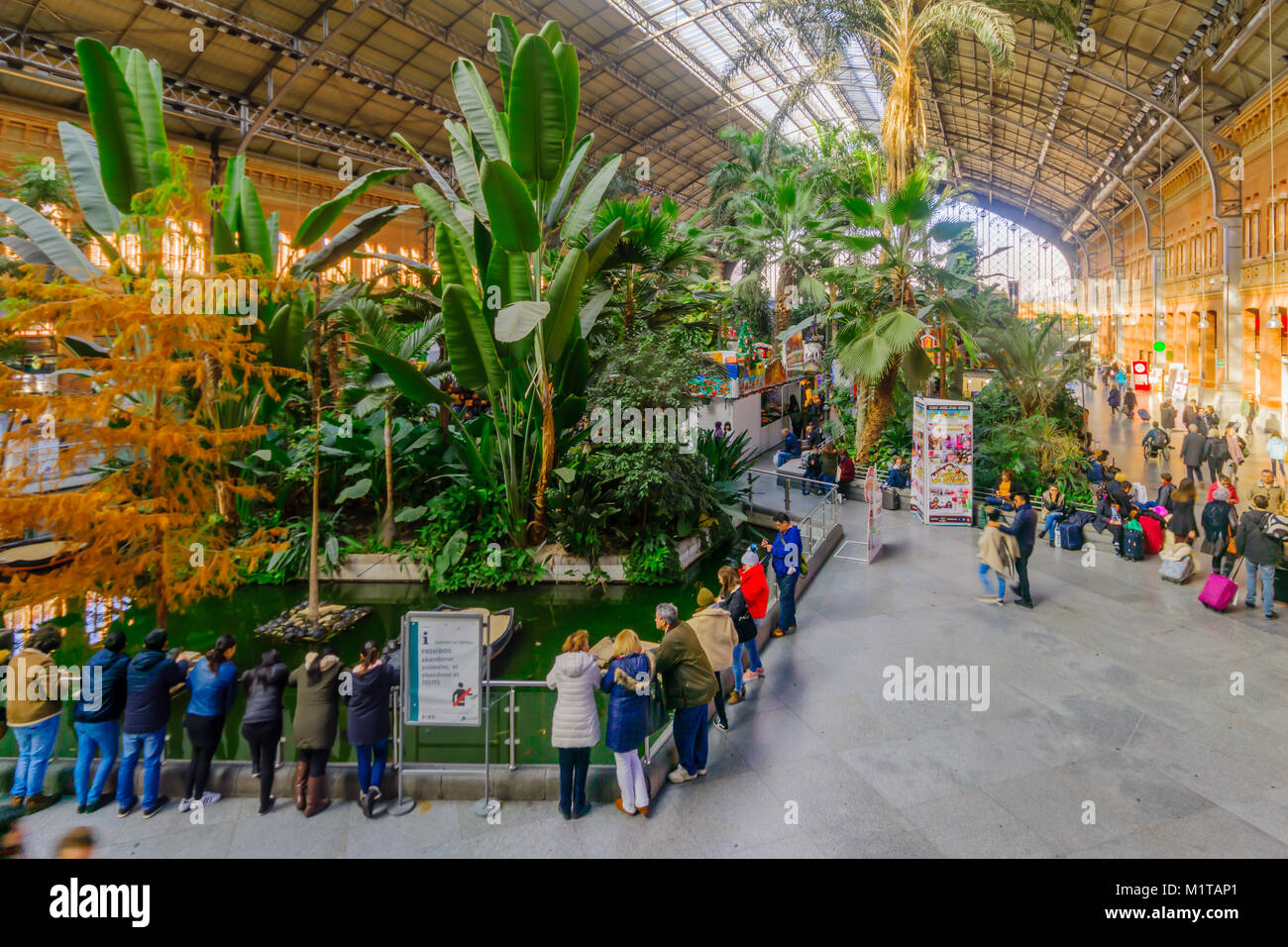 MADRID, Spanien - 1. JANUAR 2018: Blick in das Innere der Plaza und Garten im alten Bahnhof Atocha, mit Einheimischen und Besuchern, in Madrid, Spanien Stockfoto