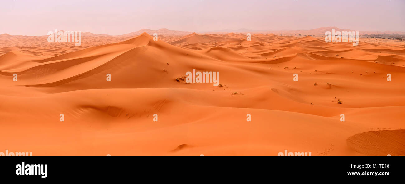 Orange Dünen der Sahara Wüste als Wellen des grenzenlosen Ozean Stockfoto