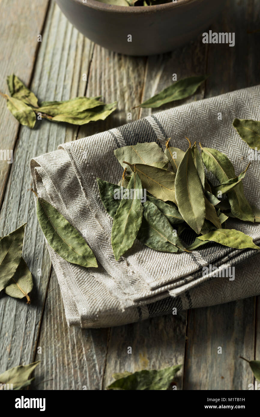 Raw trockenen organischen Lorbeerblätter Einsatzbereit Stockfoto