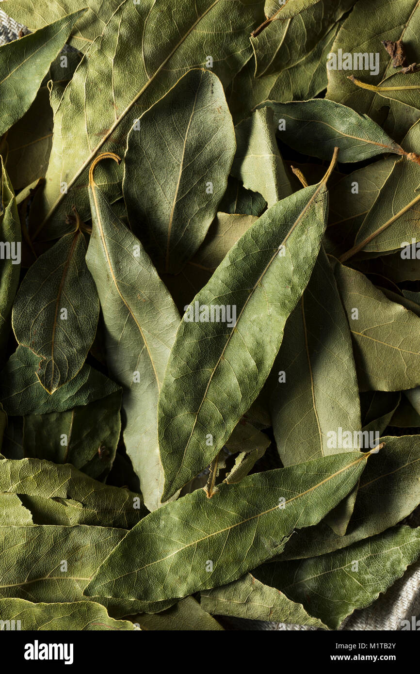 Raw trockenen organischen Lorbeerblätter Einsatzbereit Stockfoto