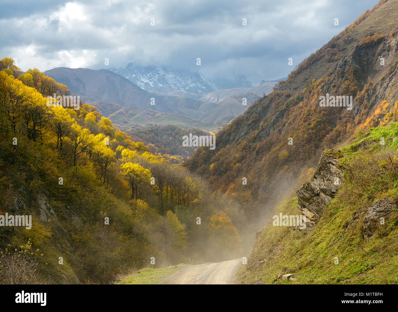 Der Weg in den Herbst in den Bergen von Georgien, dem wurde gelb Laub auf den Bäumen wachsen auf Pisten. Auf einem Hintergrund schneebedeckten Gipfeln der Berge Stockfoto