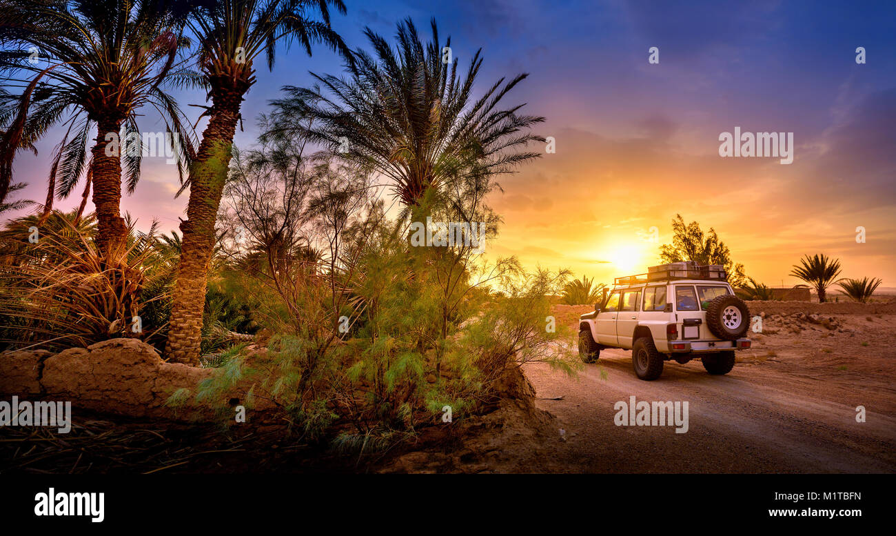 Auto, das auf der Straße durch einen Palmenhain, bei Sonnenuntergang Stockfoto