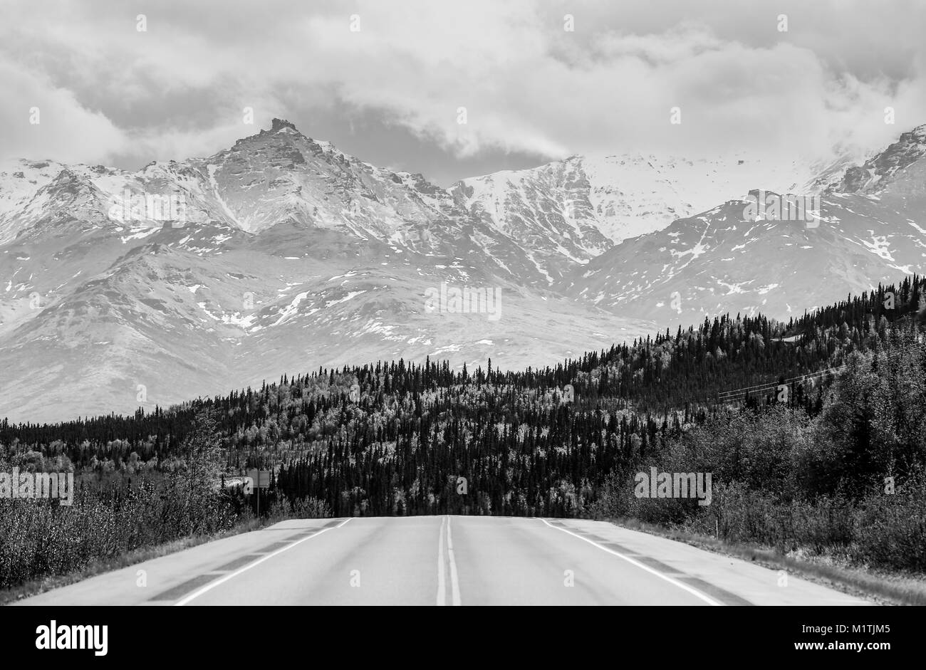 Die George Parks Highway in der Nähe des Denali National Park, Alaska. Auf der Rückseite, der Alaska Range mit Wolken und Wald sind sichtbar. T Stockfoto