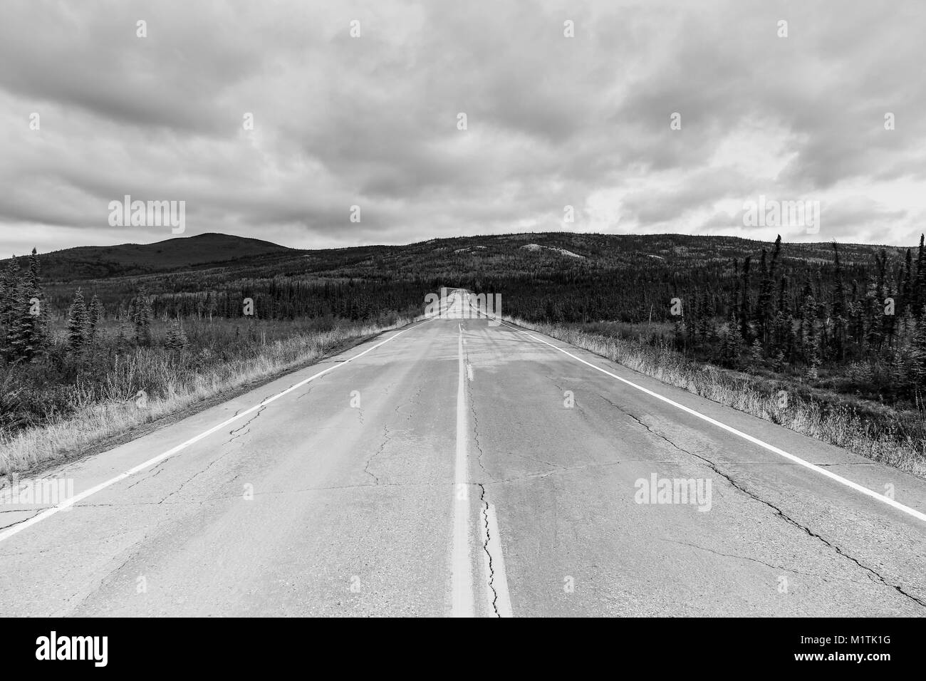Von Nord nach Süd - Fahren auf Elliot Highway durch grüne Hügel in Fairbanks, Alaska. Stockfoto