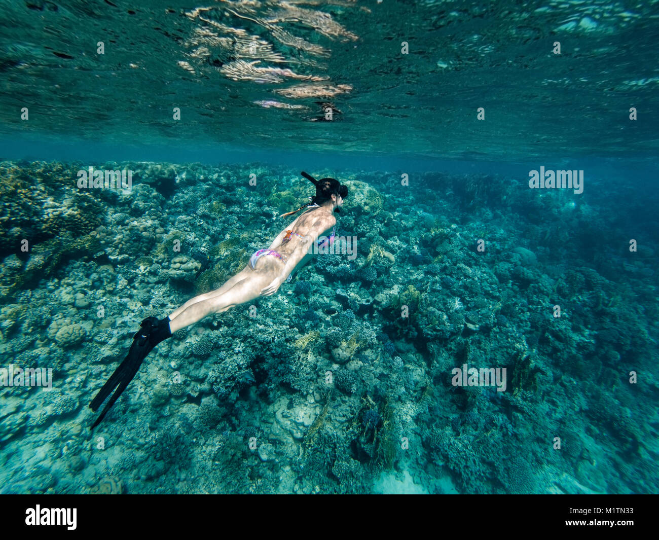 Mädchen Freitauchen schönes rotes Meer Ägypten Stockfoto