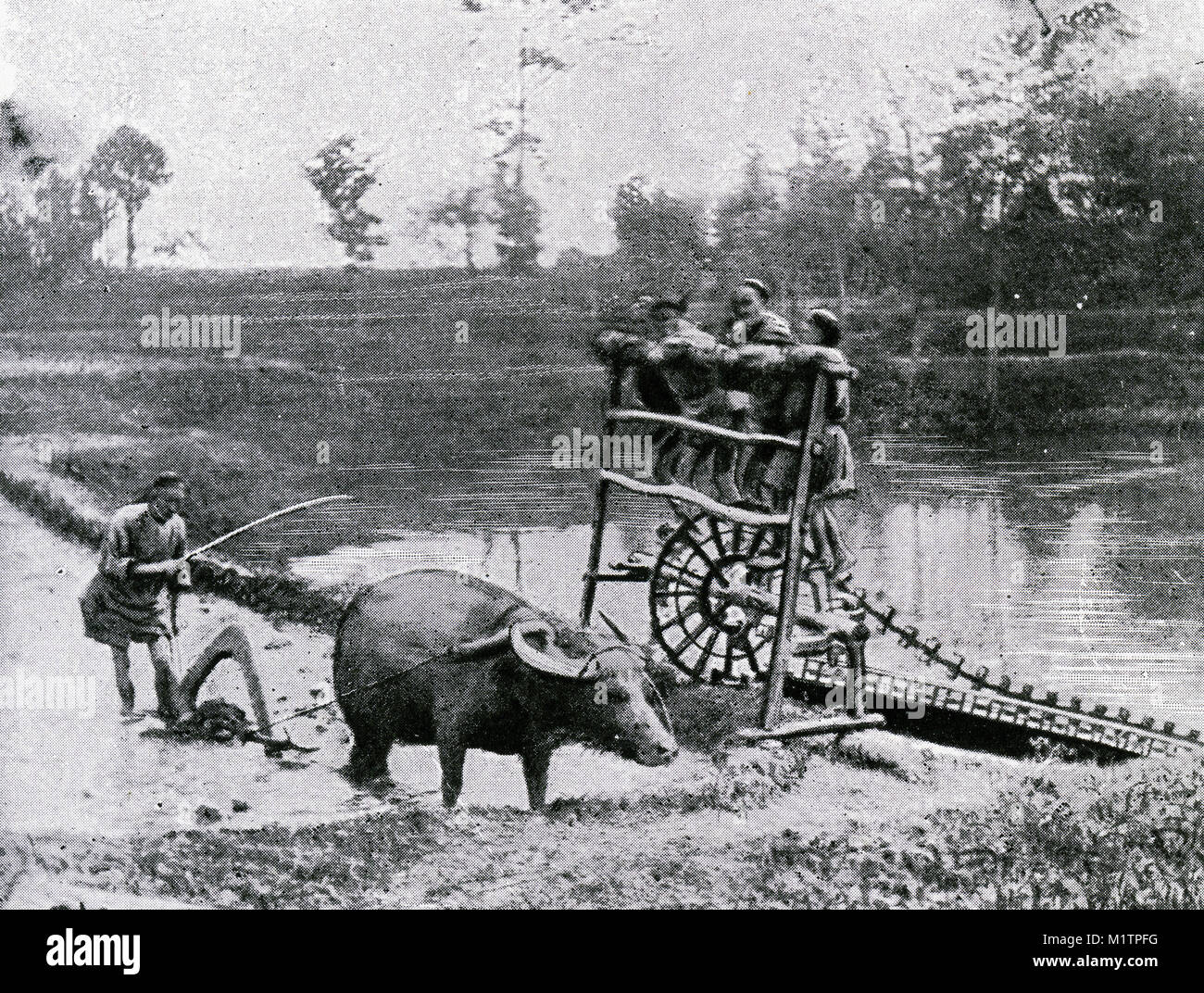 Halbton Abbildung der Chinesischen waterwheel für die Bewässerung von Reis genutzt werden, etwa um 1900. Von einem ursprünglichen Bild, wie andere Menschen leben von H. Clive Barnard, 1918. Stockfoto