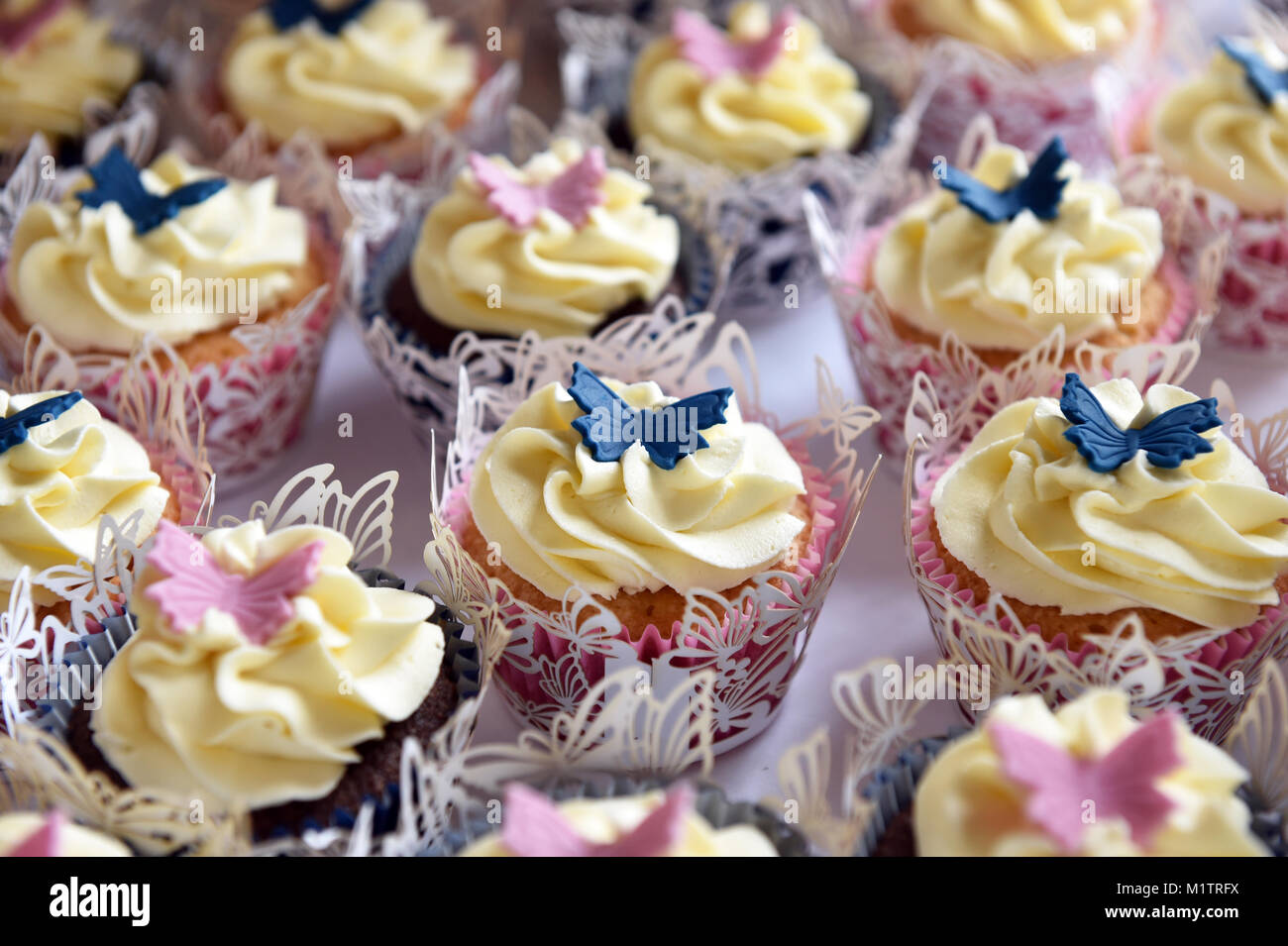 Butterfly Cupcakes mit weißer Zuckerglasur auf einer Hochzeitsfeier Stockfoto