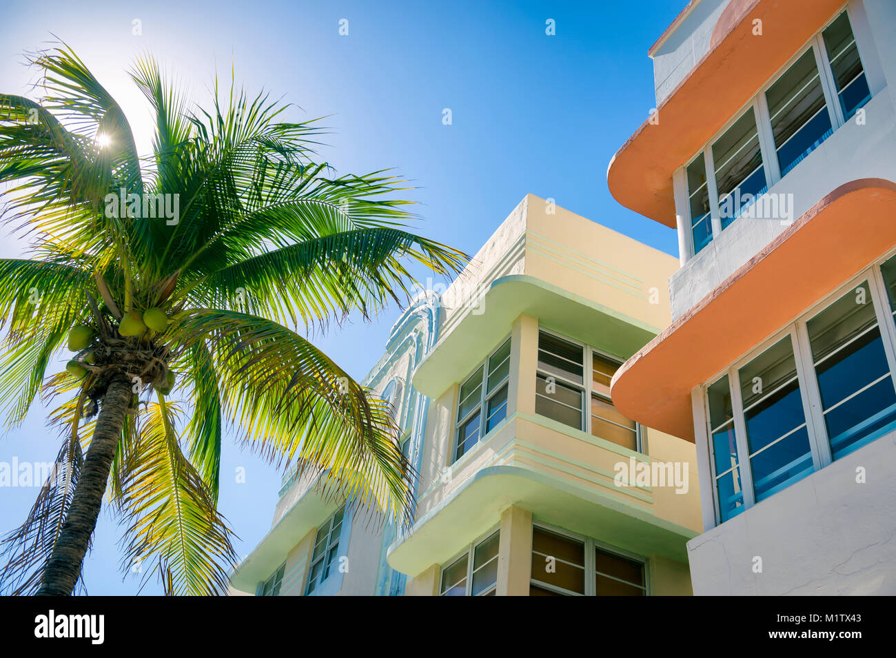 Typischen bunten Art Deco Architektur mit heller Hintergrundbeleuchtung Palm Tree am Ocean Drive in South Beach, Miami, Florida Stockfoto