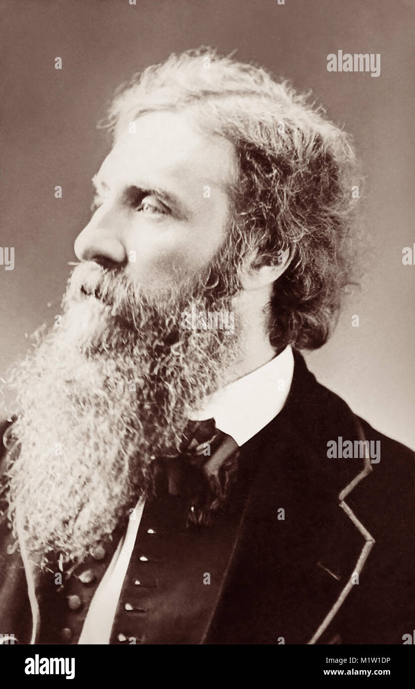 George MacDonald (1824-1905) war ein schottischer Schriftsteller und christlichen Minister, war eine literarische Einfluss auf CS Lewis, JRR Tolkien, WH Auden und G.K. Chesterton. Foto von Sarony, c 1872. Stockfoto