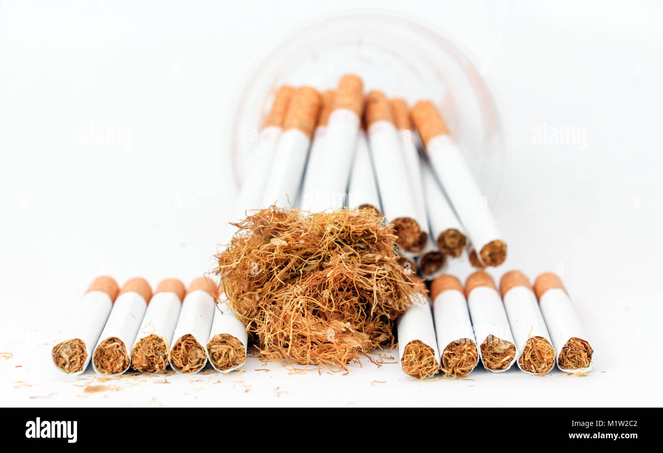 Zigaretten in einer Wegwerf- Cup und Tabak auf weißem Hintergrund, Vorderansicht Stockfoto