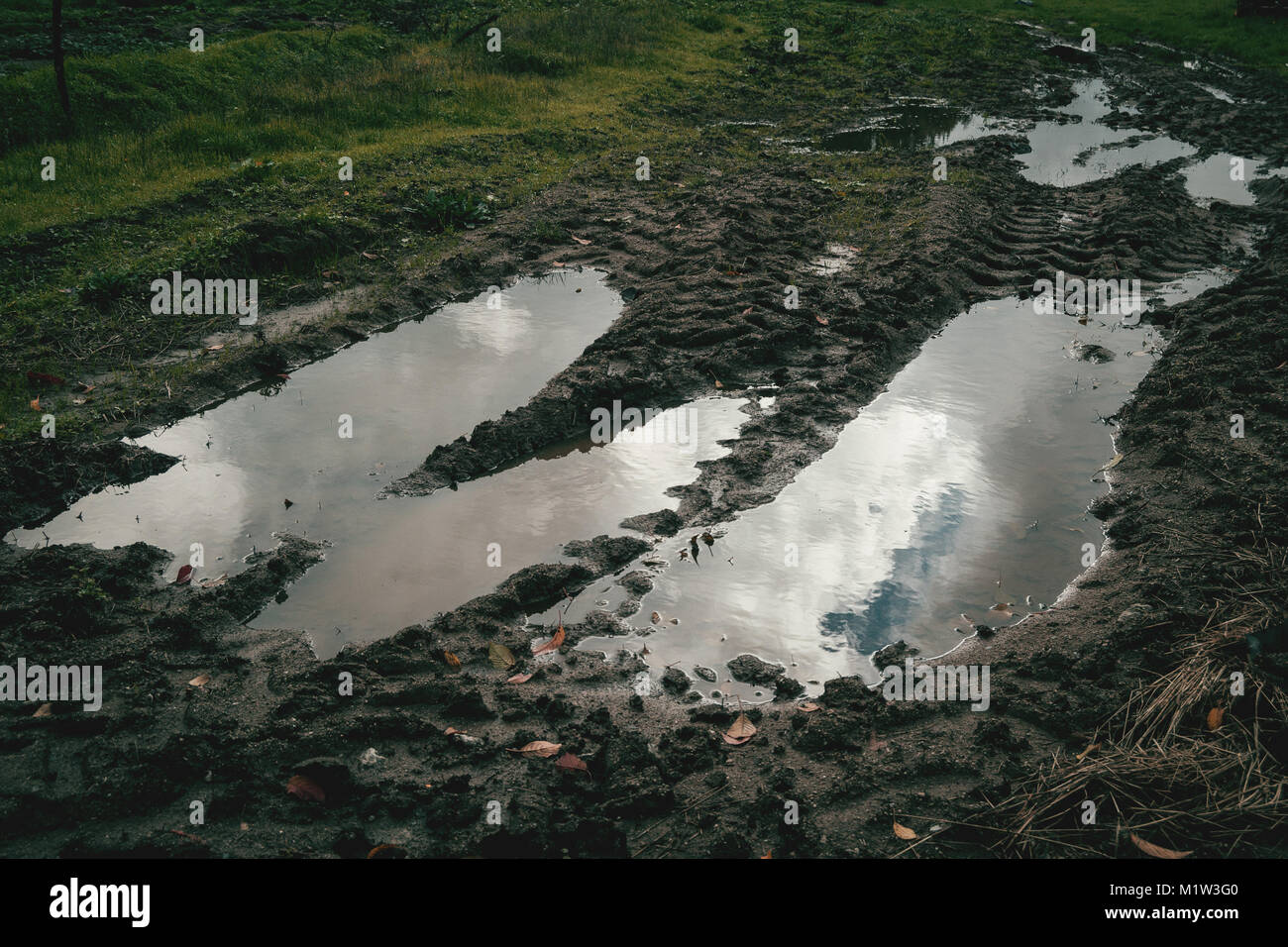 Charco de la tierra Hecho por un-Traktor que refleja el cielo nublado con cesped alrededor Stockfoto