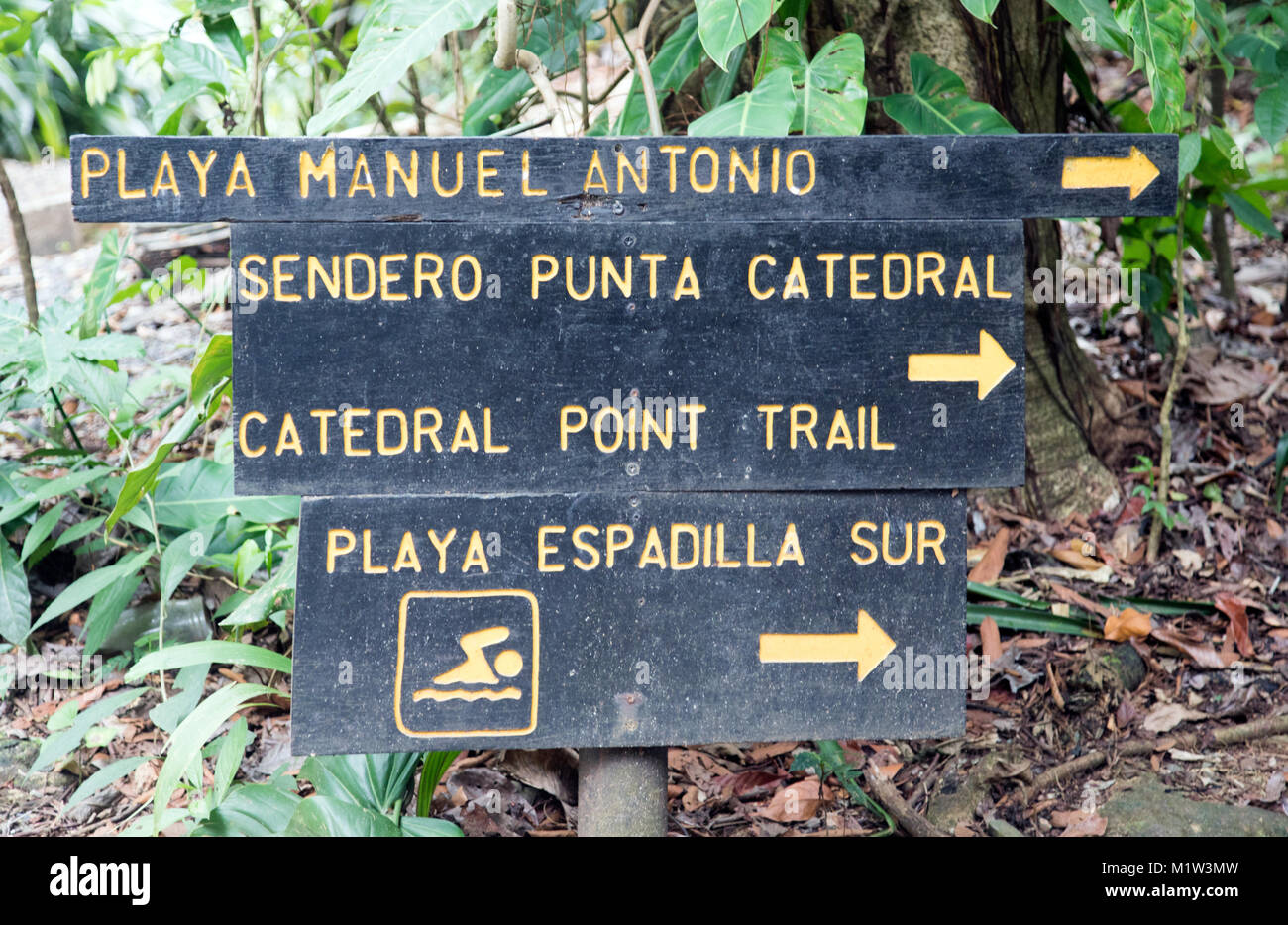 Parque National Manuel Antoino zentralen Pazifikküste Costa Rica Stockfoto