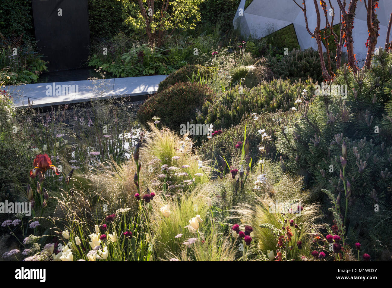 Die BBC Radio 2 Jeremy Vine Textur Garten, RHS Chelsea Flower Show 2017 Stockfoto