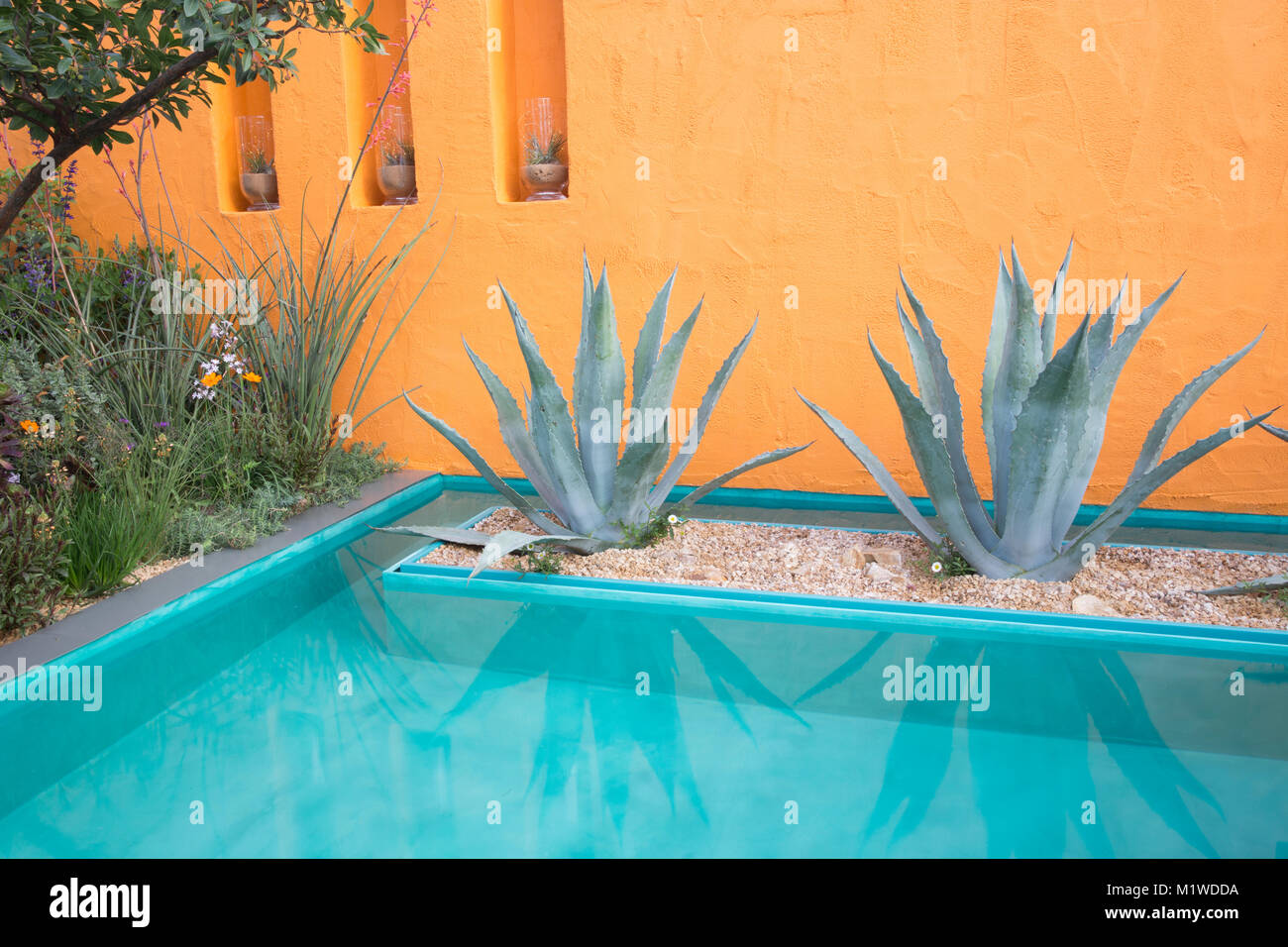 Wasserspiel kleiner Teich mit Agavenkaktus gerendert bemalte orange Wand unter Einem mexikanischen Sky Garten - Designer Manoj Malde - Chelsea Flower Show UK Stockfoto