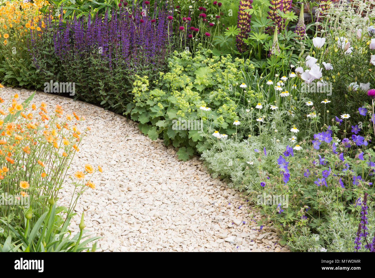 Gebogene kies Garten Weg durch ein Ferienhaus wilde Garten führt, Chelsea Flower Show, Stockfoto