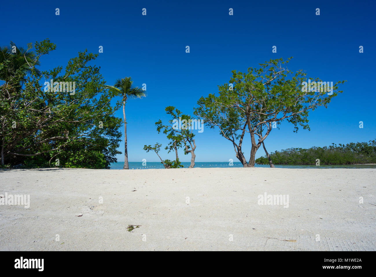 USA, Florida, weißen Sandstrand und dem türkisfarbenen Wasser der Florida Keys Stockfoto