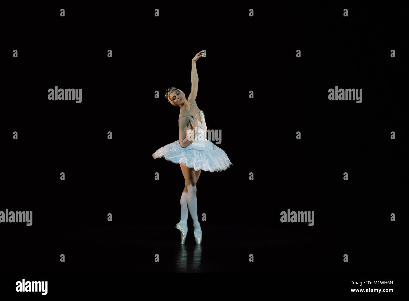 London, Großbritannien. 1 Feb, 2018. Zenaida Yanowsky pesent Der sterbende Schwan als Teil og Sadler's Wells beprobt. Photo Credit: Danilo Moroni/Alamy leben Nachrichten Stockfoto