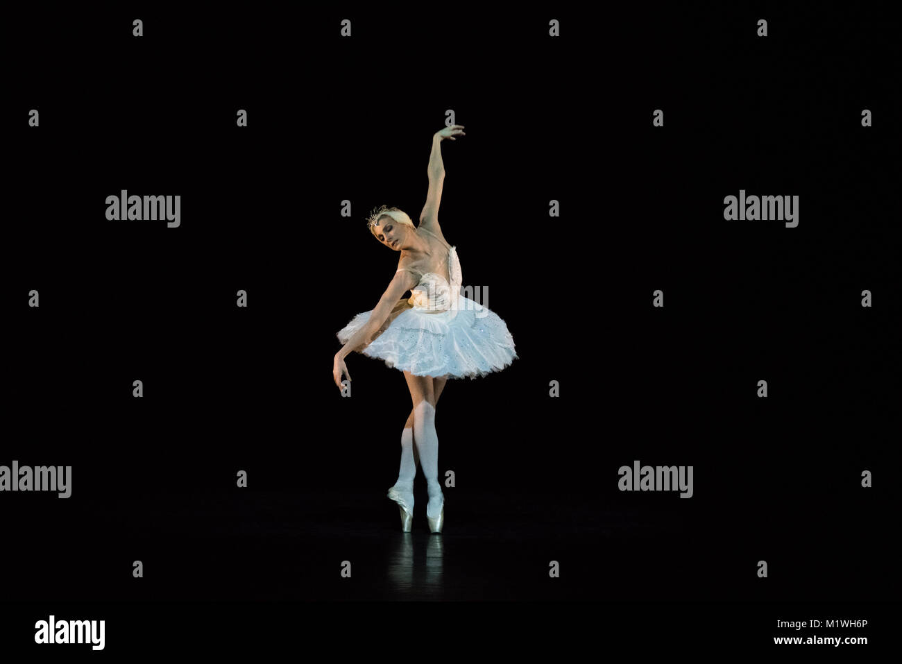 London, Großbritannien. 1 Feb, 2018. Zenaida Yanowsky pesent Der sterbende Schwan als Teil og Sadler's Wells beprobt. Photo Credit: Danilo Moroni/Alamy leben Nachrichten Stockfoto