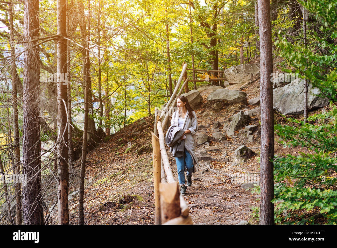 Das Mädchen geht in den Wald Stockfoto