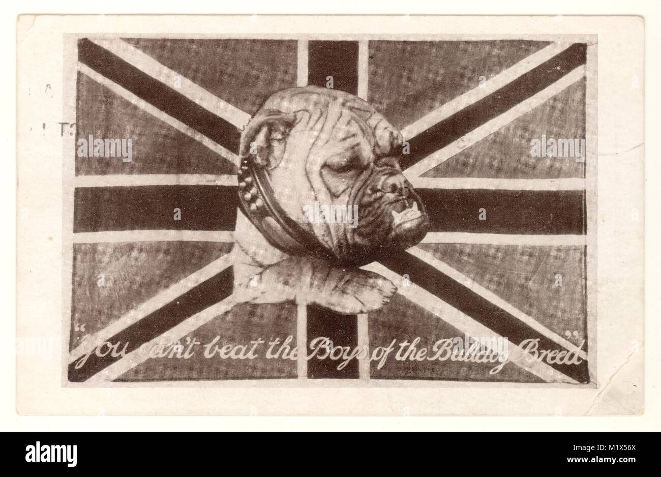 WW 1 patriotische bulldog Karte "Du kannst nicht die Jungs von der Bulldog breed' Beat, vom 3. Oktober 1914, Großbritannien Stockfoto