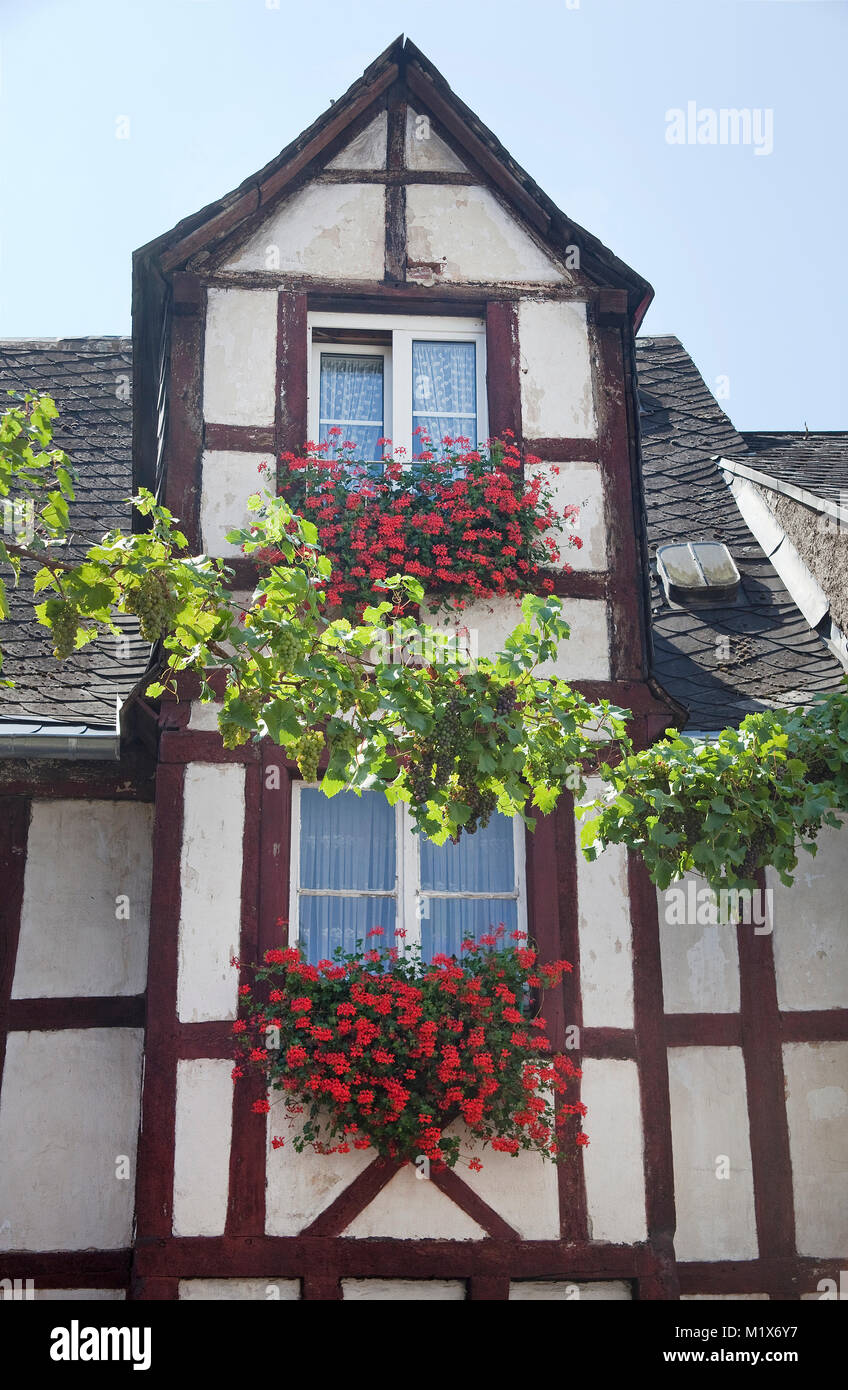 Fachwerkhaus mit Blumenmotiv, Treis-Karden, Mosel, Rheinland-Pfalz, Deutschland, Europa Stockfoto
