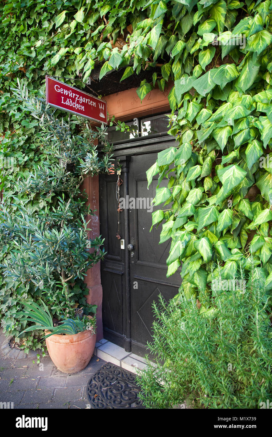 Eingang zum kräutergarten Shop, Hausfassade mit Kletterpflanzen, Uerzig, Mosel, Rheinland-Pfalz, Deutschland, Europa Stockfoto